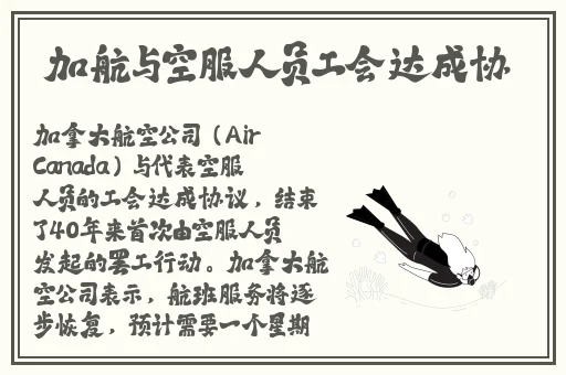 欧美小孩开大车牙签搅大缸